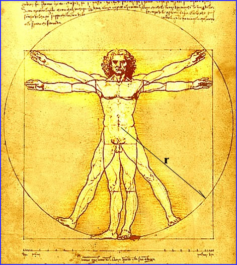 Da Vinci Vintruvian man
