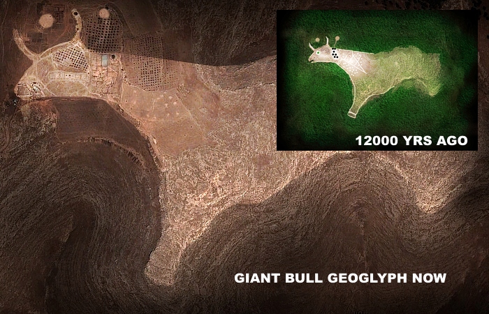 Gobekli Tepe geoglyph bull