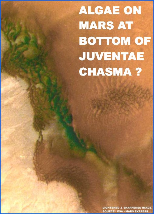 Algae on Mars at bottom of Juventae Chasma?