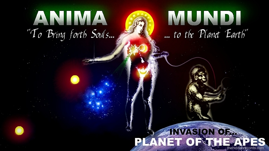 Anima Mundi Pleiades Planet of Apes