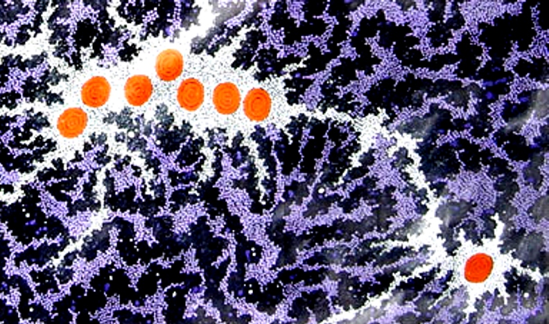 Gosford Kariong Pleiades star map menes symbol