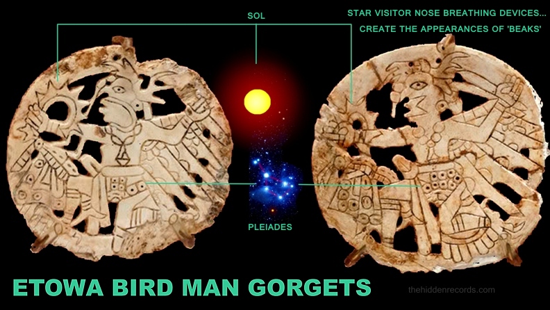 Cahokia Pleiades star map