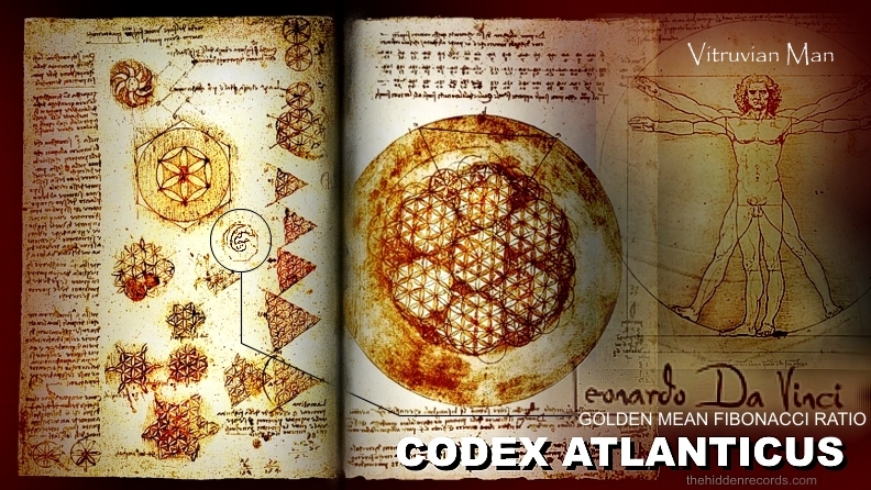 vitruvian carbon based orion man