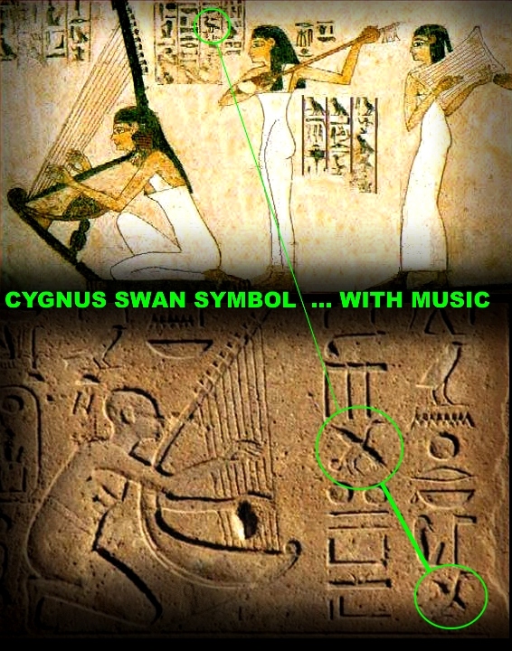 Cygnus mystery swan symbol