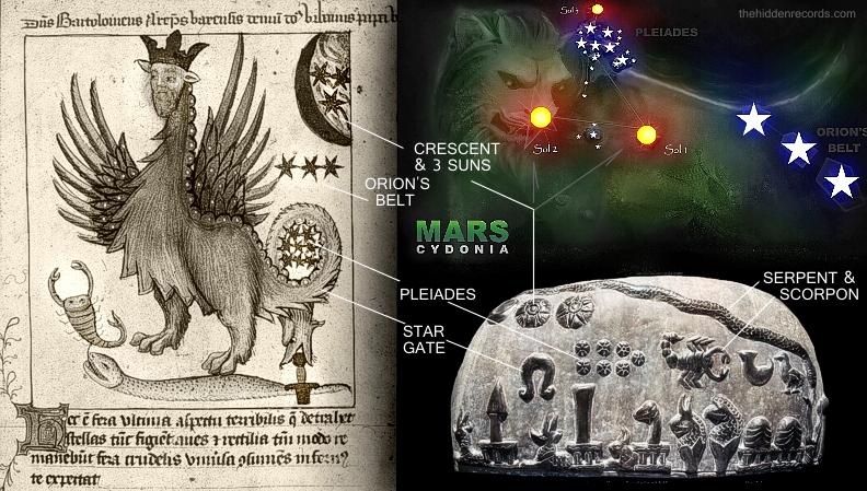 Dragon Three stars Serpent Scorpion