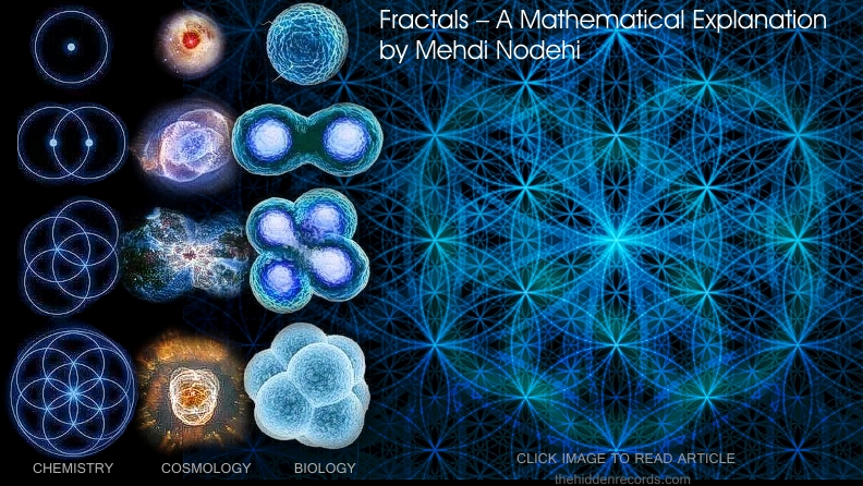 the flower of life mathematical model