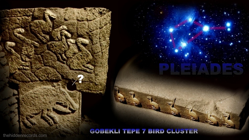 Gobekli Tepe 7 Bird Cluster