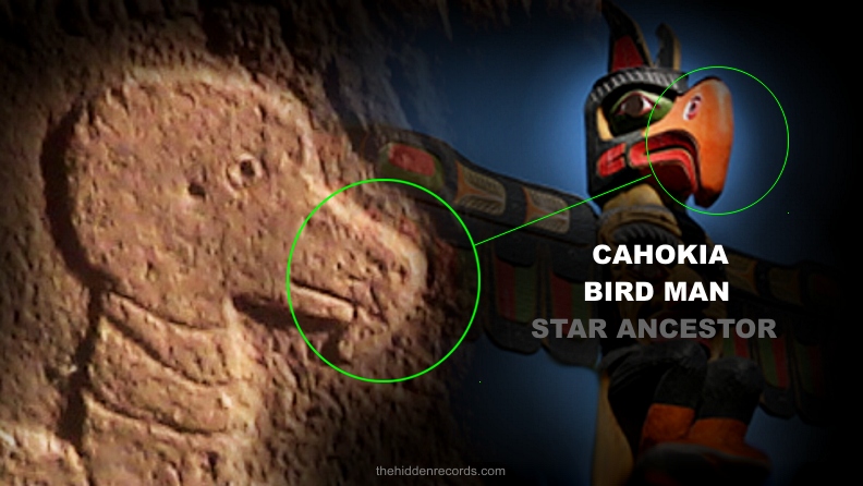 Cahokia bird man - star ancestor