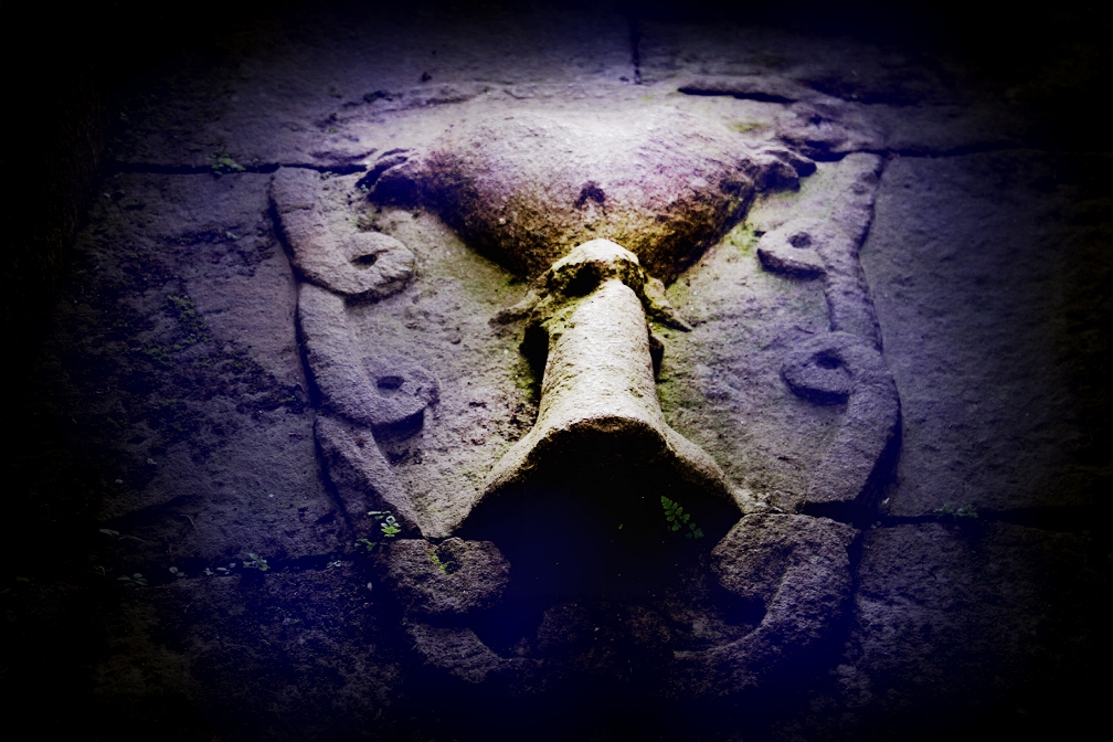 Holy Grail Wayne Herschel