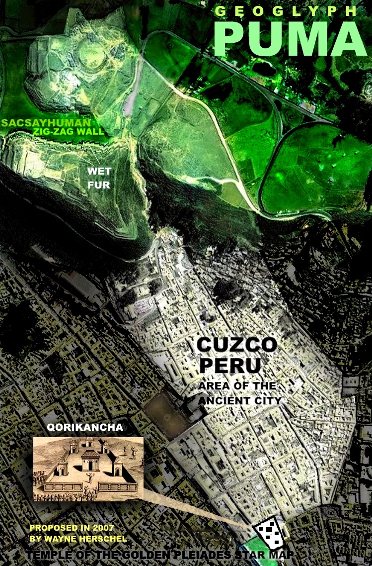 The REAL Cosmic Puma - geoglyph