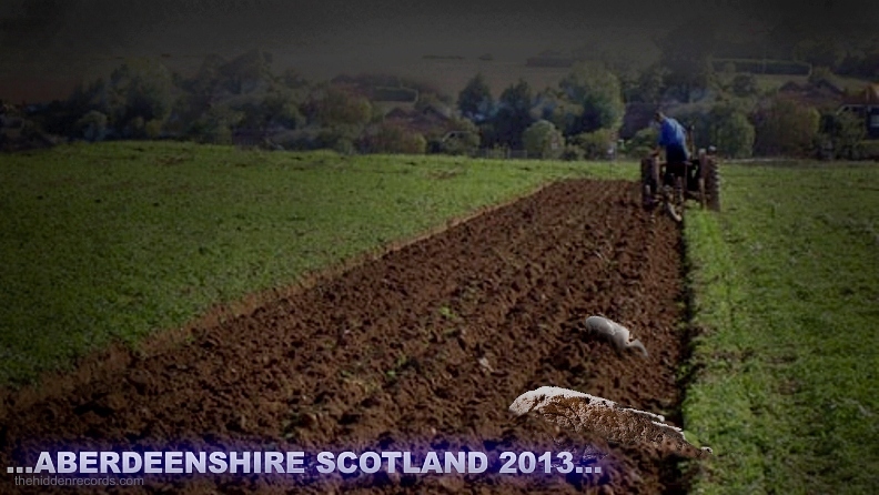 Scotland Dandelieth stone found by a farmer