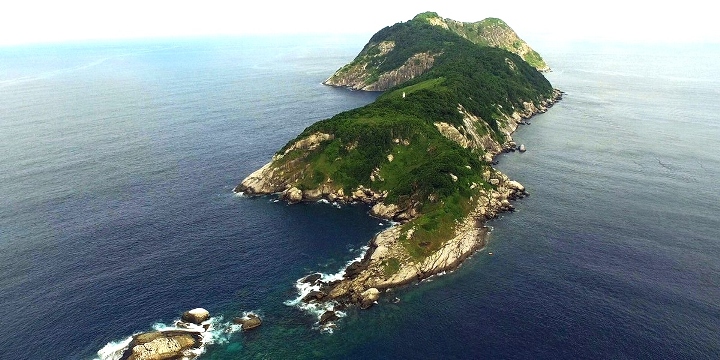 LEG OF THE BULL ISLAND MATCH