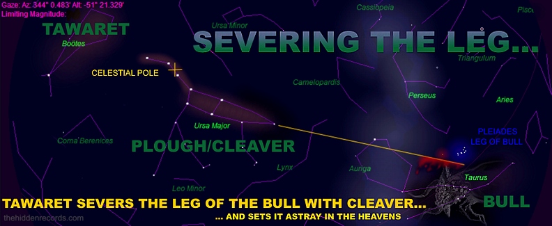 star program: cleaver plough constellation