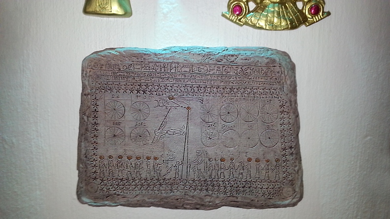 HERSCHEL ARTIFACT COLLECTION WALL DISPLAY