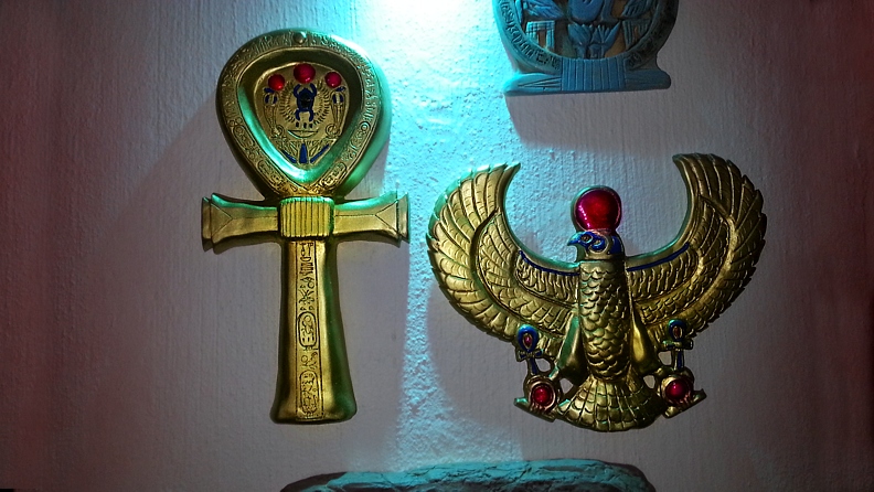 HERSCHEL ARTIFACT COLLECTION WALL DISPLAY