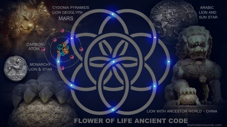 World Flag - Flower of Life Ancient Code